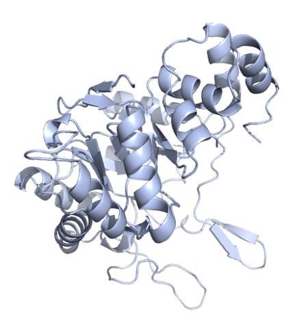 Enzyme Activity Measurement for Alcohol Dehydrogenase (NADP+) Using Spectrophotometric Assays